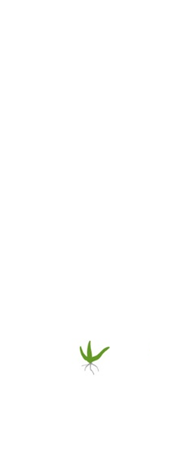 Icons_Weizen